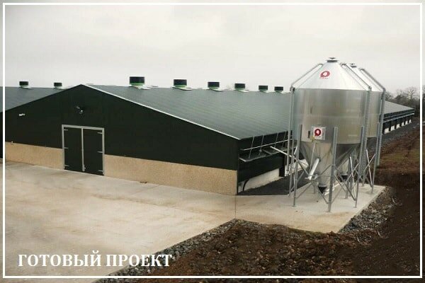 Этапы возведения птицефабрики от завода ВелесТент-гбк